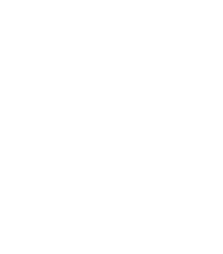 Kees Roelofsen Pigeons